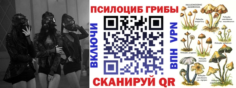 Псилоцибиновые грибы Cubensis  kraken   Якутск 